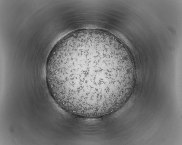 X0000113890839200910151333