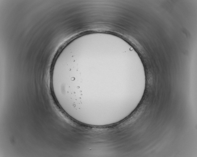 X0000113890840200910151333