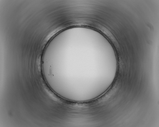 X0000113890842200910151333