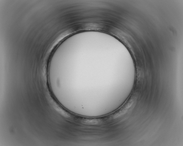 X0000113890843200910151333