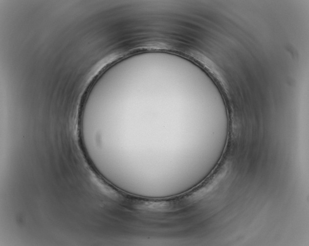 X0000113890845200910151333