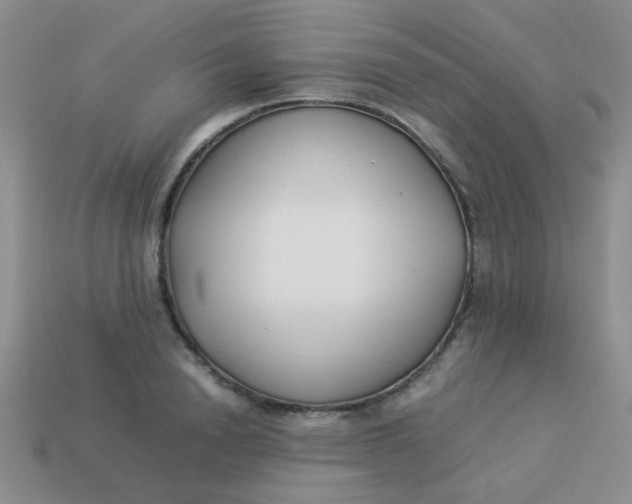 X0000113890846200910151333