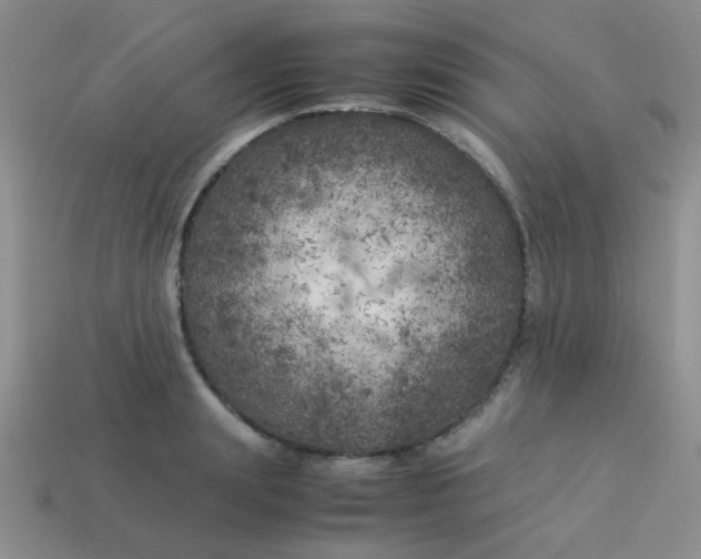 X0000113890847200910151333