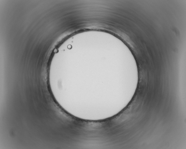 X0000113890848200910151333
