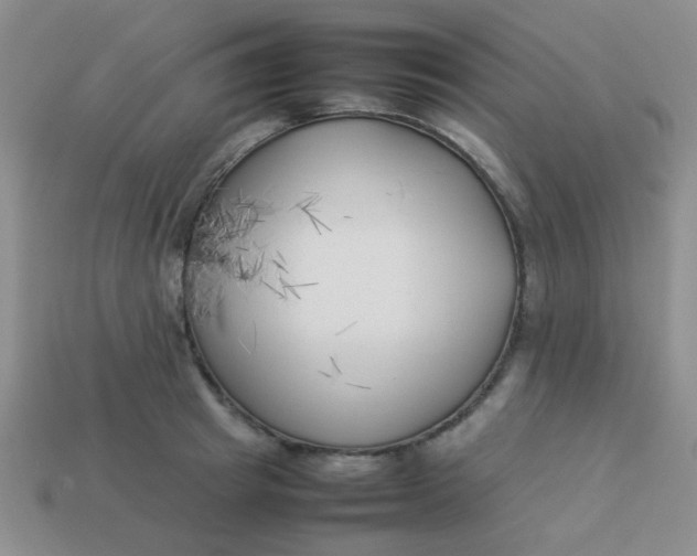 X0000113890849200910151333