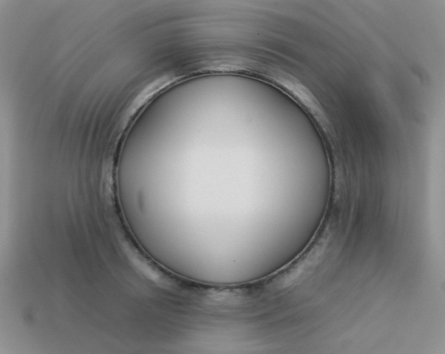 X0000113890850200910151333