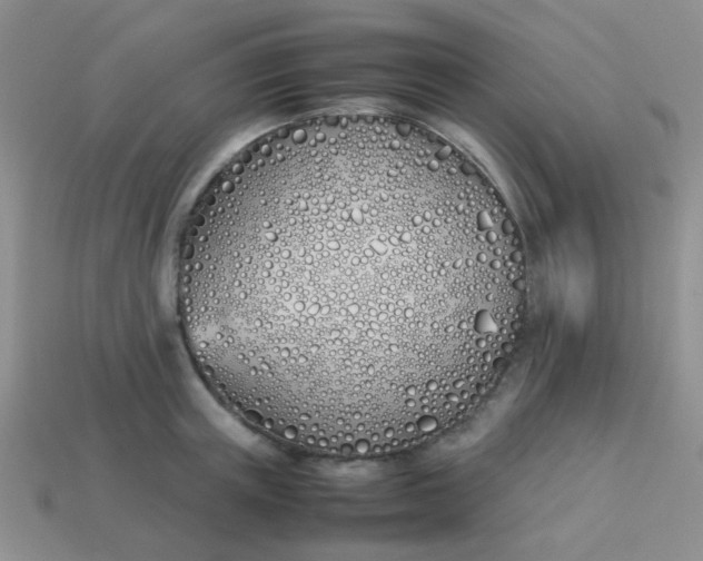 X0000113890851200910151333
