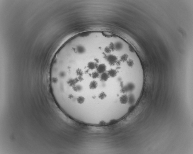 X0000113890852200910151333