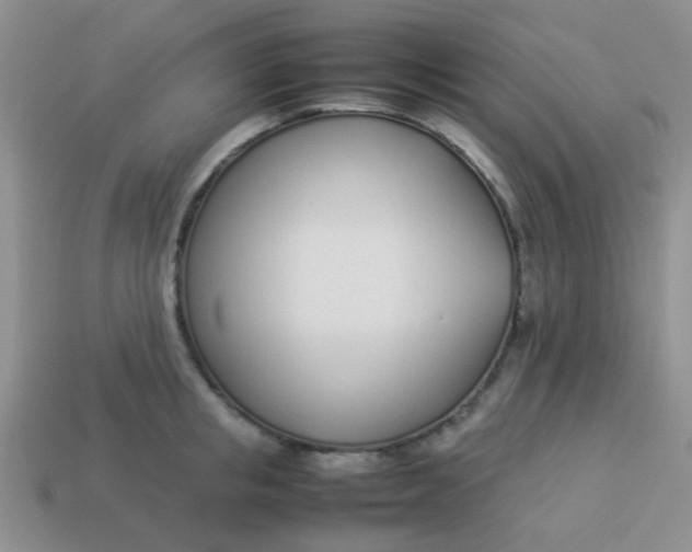 X0000113890853200910151333