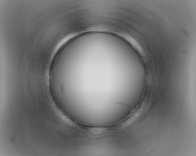 X0000113890854200910151333
