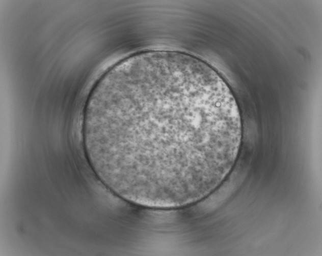 X0000113890856200910151333