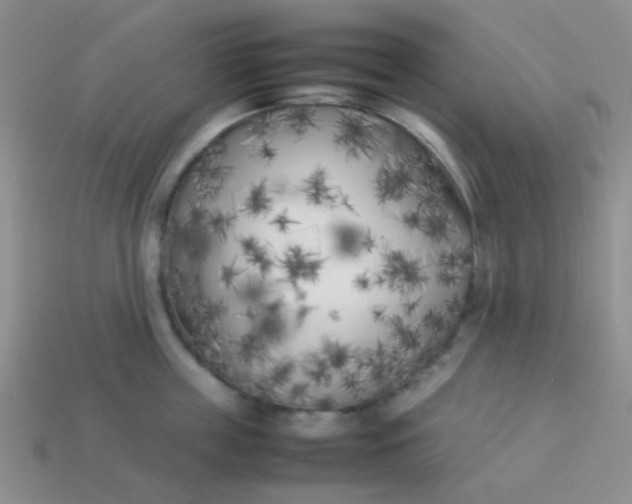 X0000113890859200910151333