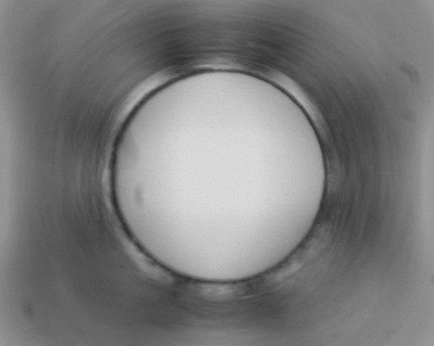 X0000113890861200910151333