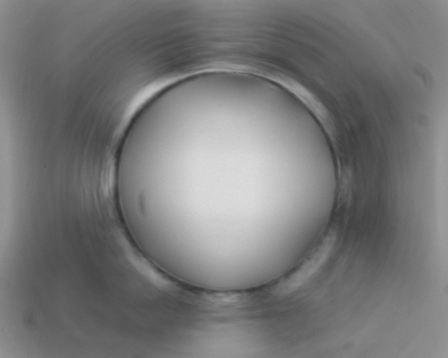 X0000113890862200910151333