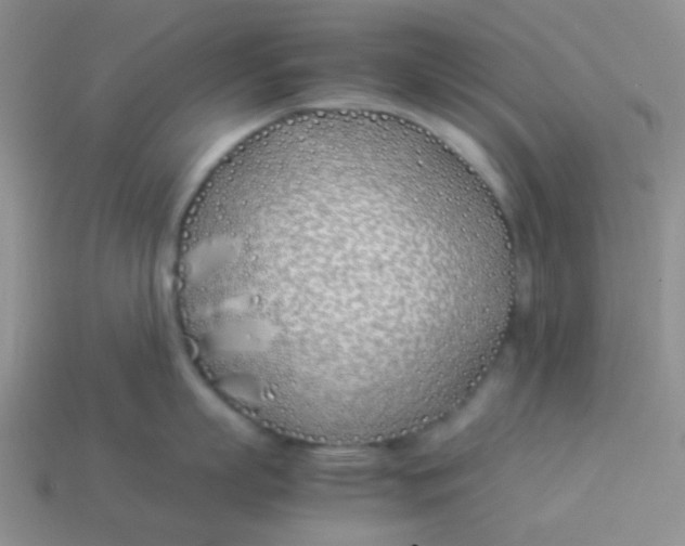 X0000113890863200910151333