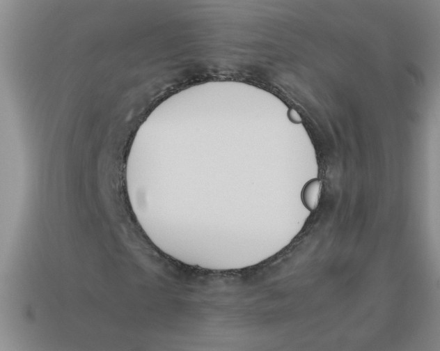X0000113890865200910151332