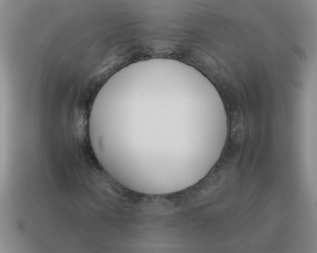 X0000113890866200910151332