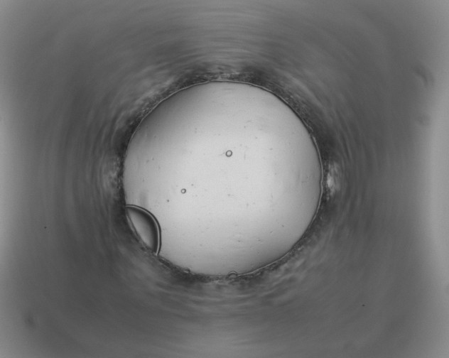 X0000113890867200910151332