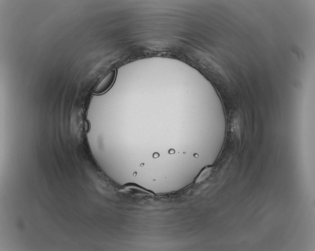 X0000113890868200910151332
