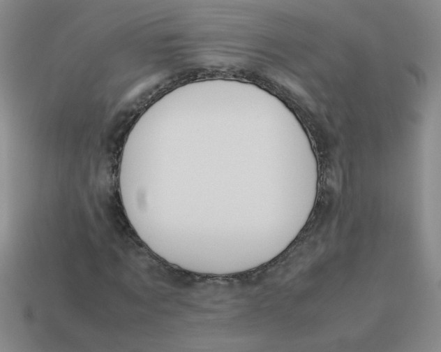 X0000113890869200910151332