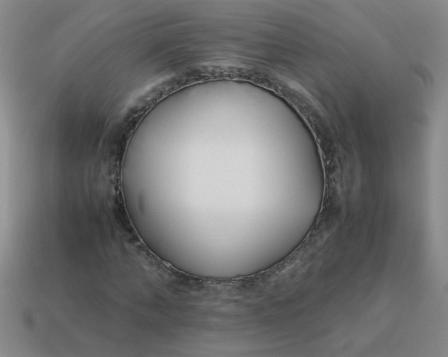 X0000113890870200910151332