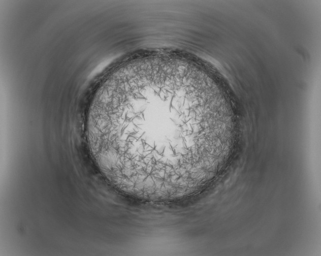 X0000113890871200910151332