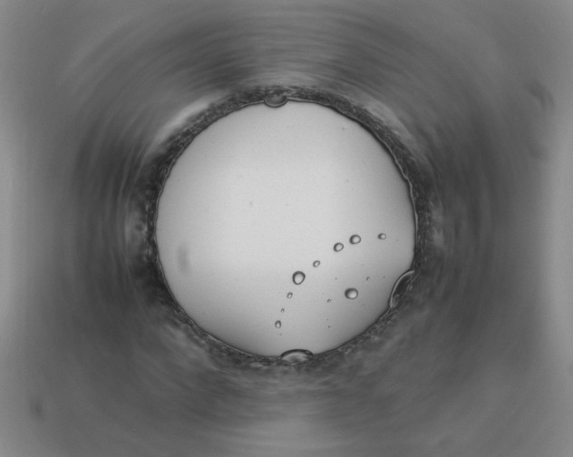 X0000113890872200910151332