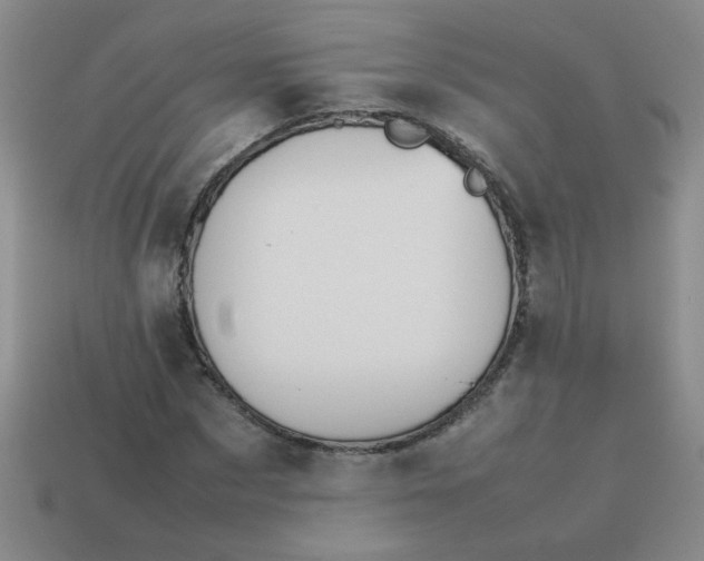 X0000113890873200910151332