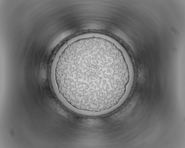 X0000113890874200910151332