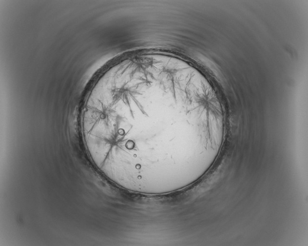 X0000113890875200910151332
