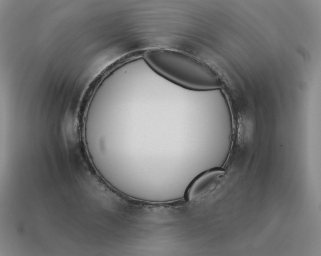 X0000113890876200910151332