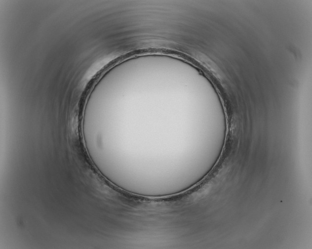 X0000113890877200910151332