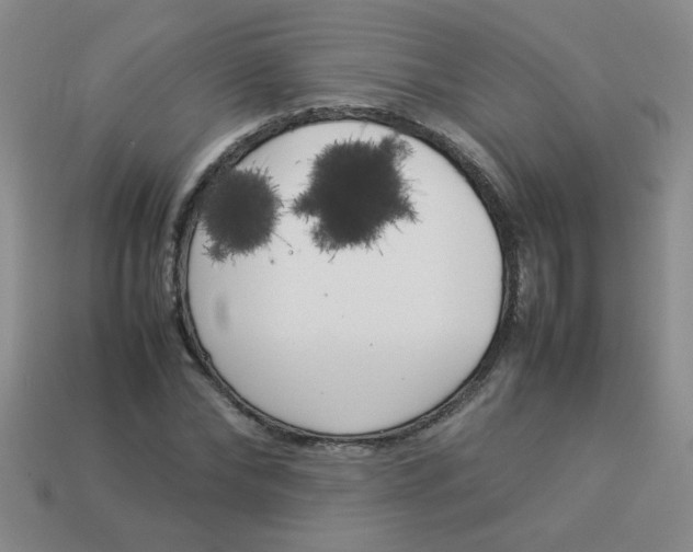 X0000113890878200910151332