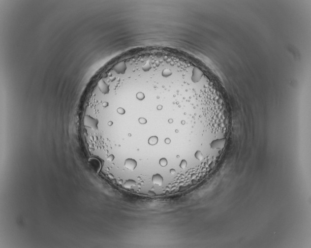 X0000113890879200910151332