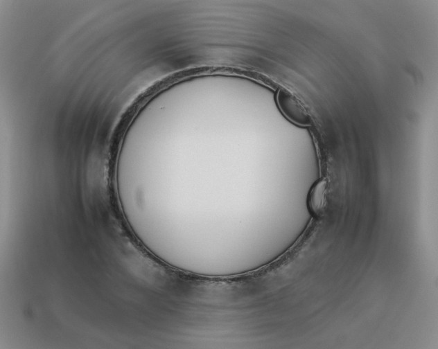 X0000113890880200910151332