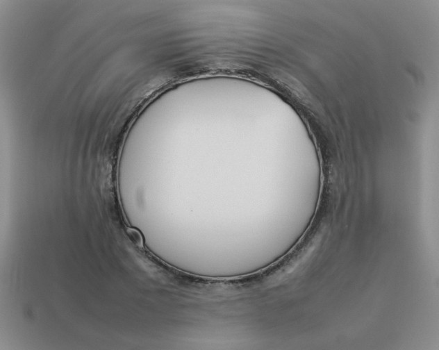 X0000113890881200910151332