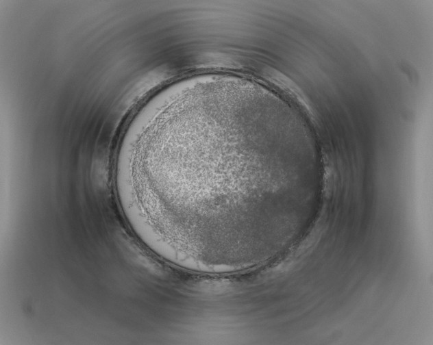 X0000113890882200910151332