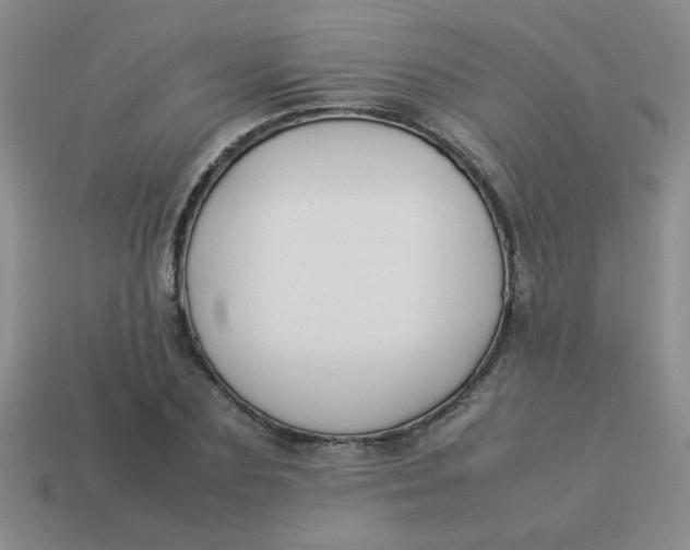 X0000113890883200910151332