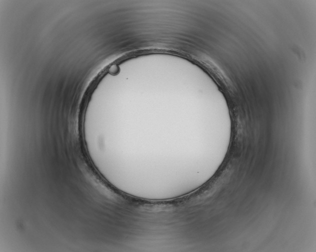 X0000113890884200910151332