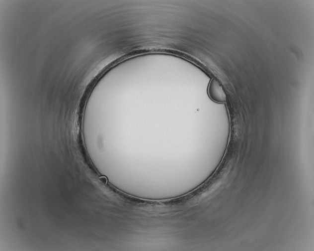 X0000113890885200910151332