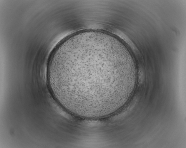 X0000113890886200910151332