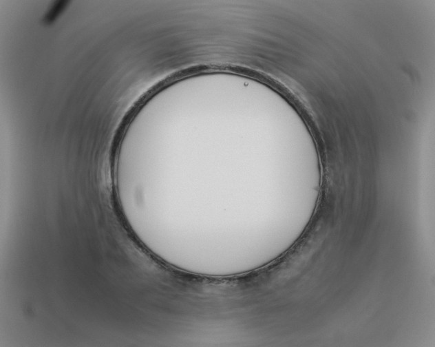 X0000113890887200910151332