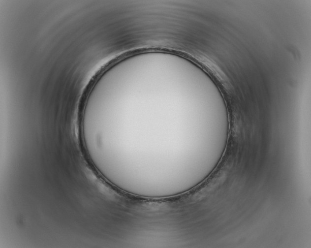 X0000113890888200910151332