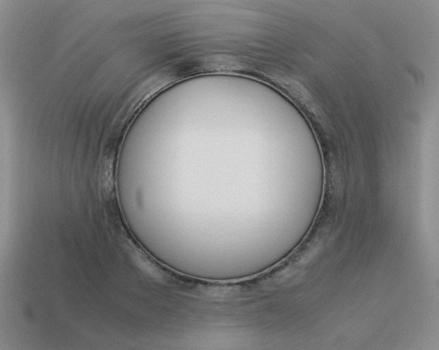 X0000113890889200910151332
