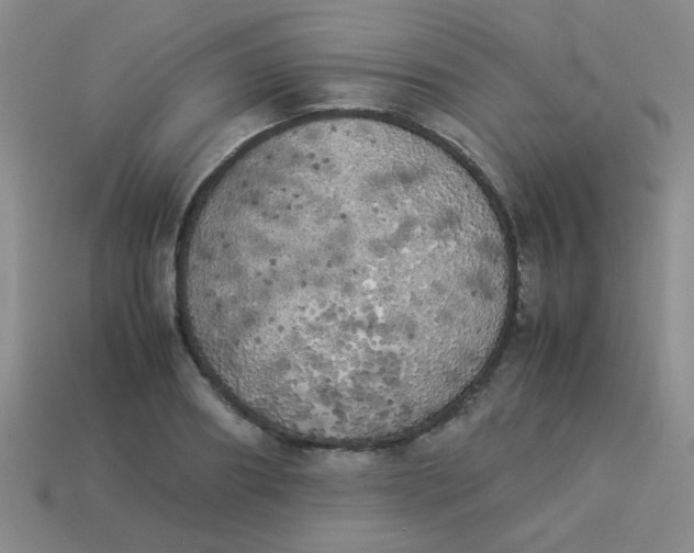 X0000113890890200910151332