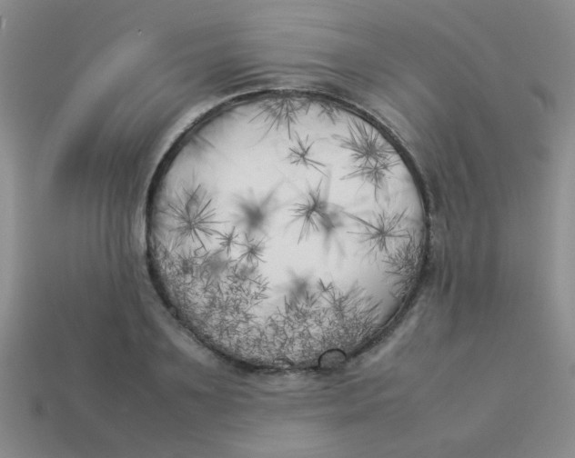 X0000113890891200910151332