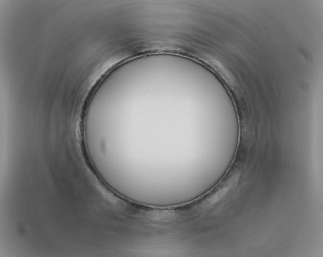 X0000113890893200910151332