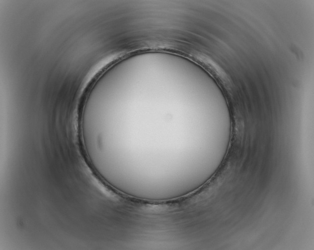 X0000113890894200910151332
