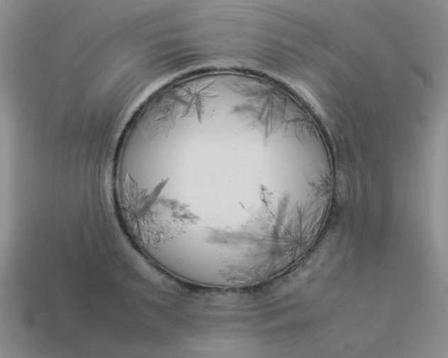 X0000113890895200910151332