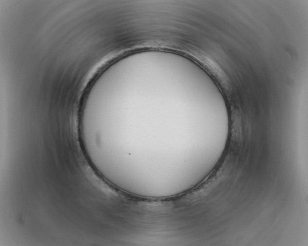 X0000113890896200910151332